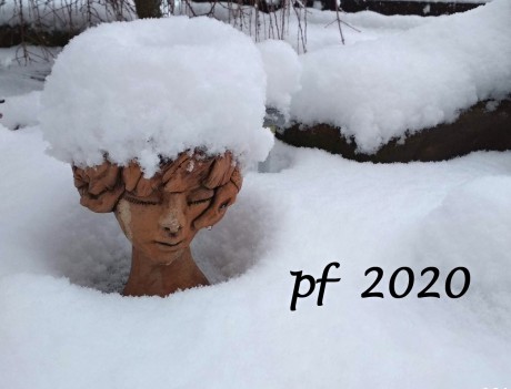 PF  2020